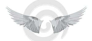 Angel wings vector stock illustration. Silver feathers. The bird flight template.